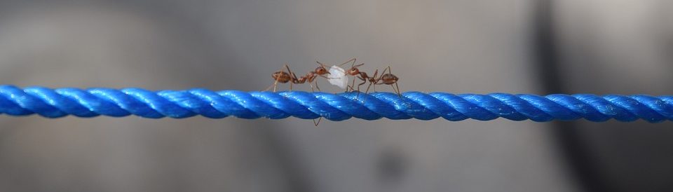 balancedawakening.nl